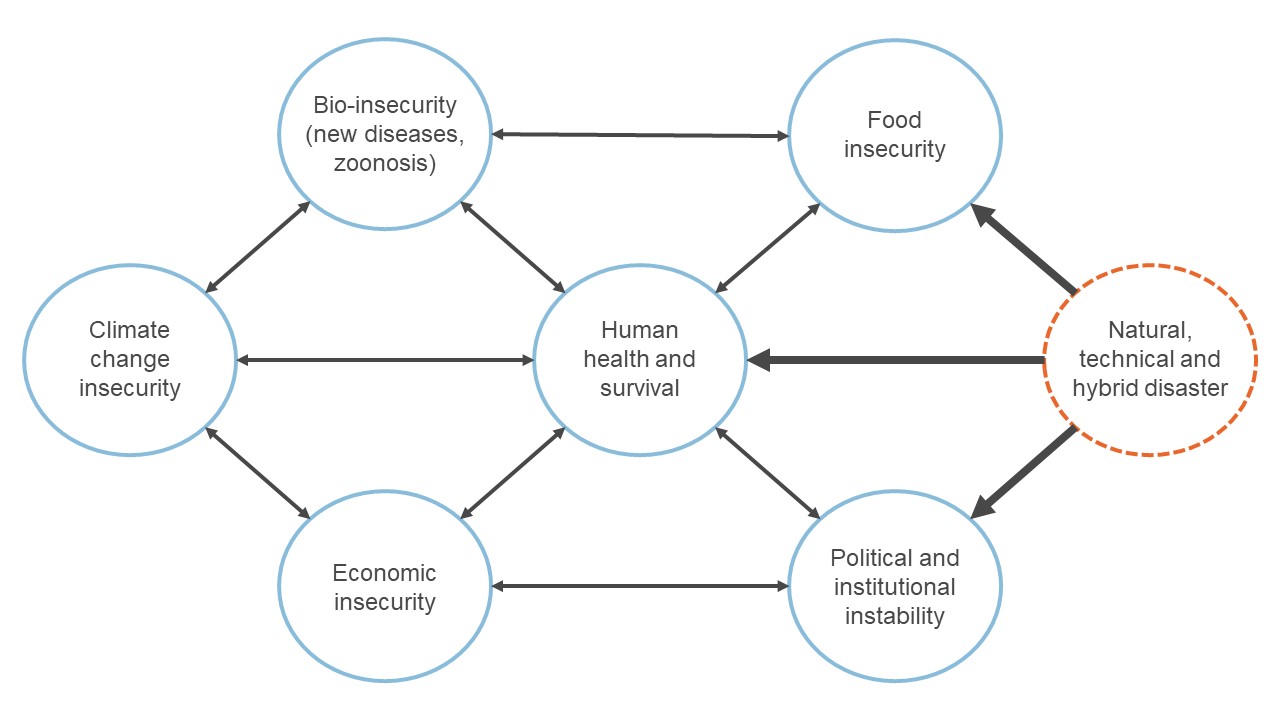 Figure showing connections between different types of insecurity.