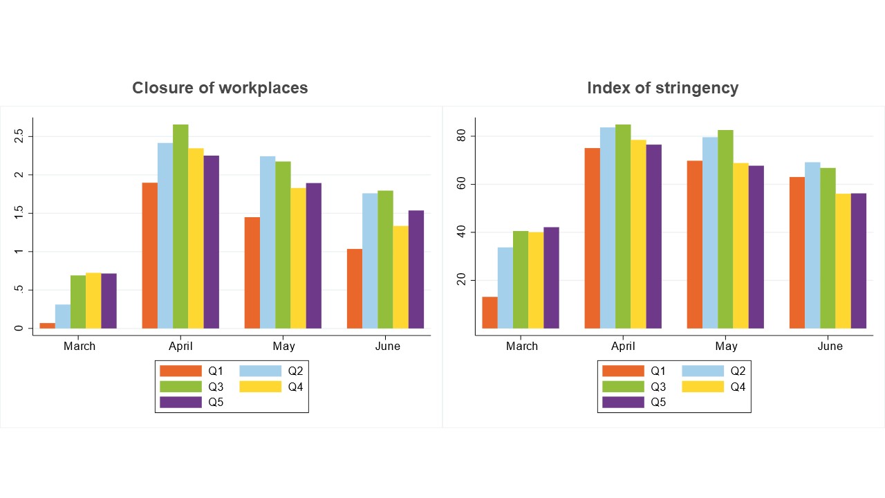 How do lockdowns affect economic activity in developing countries