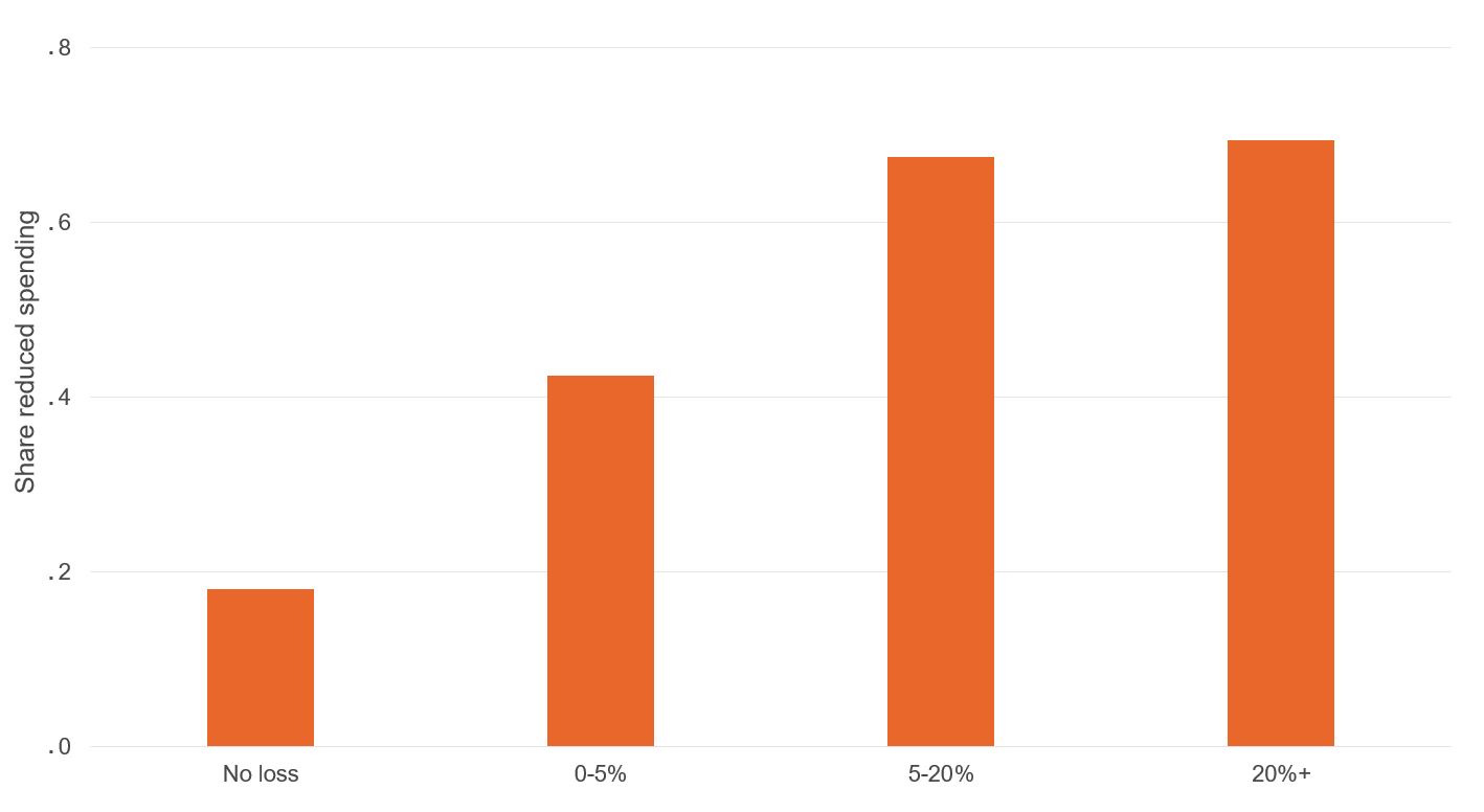 Fraction reducing spending by household income decline