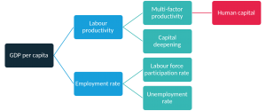 Which investments in human capital will boost productivity growth ...