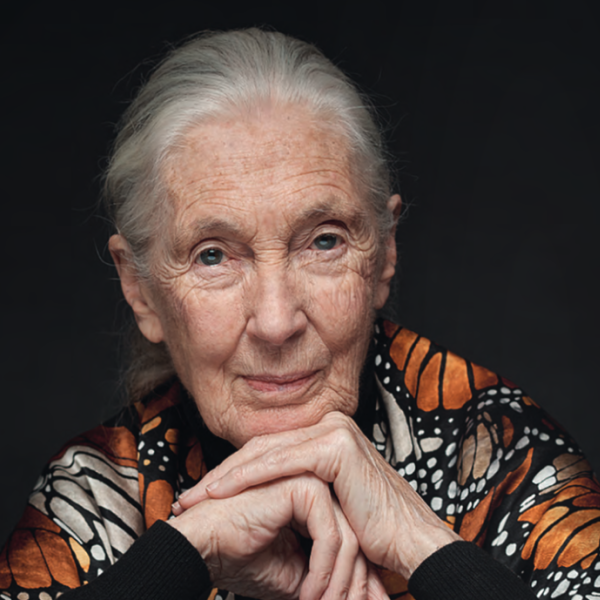 Jane Goodall