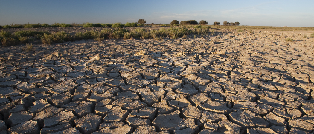 How could US foreign aid cuts affect global public health?